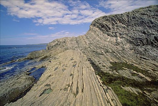沉积岩,展示,石头,堆积,沿岸,高原,绿色,格罗莫讷国家公园,纽芬兰,加拿大