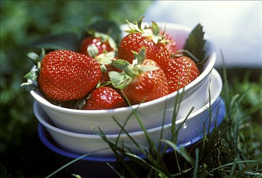 草莓,碗,草地