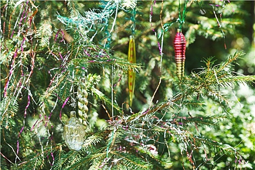 圣诞树,枝条,旧式,装饰