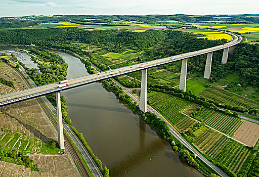 摩泽尔,高架桥,穿过,上方,河,莱茵兰普法尔茨州,德国,欧洲