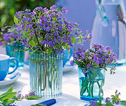 花束,蓝色,玻璃花瓶