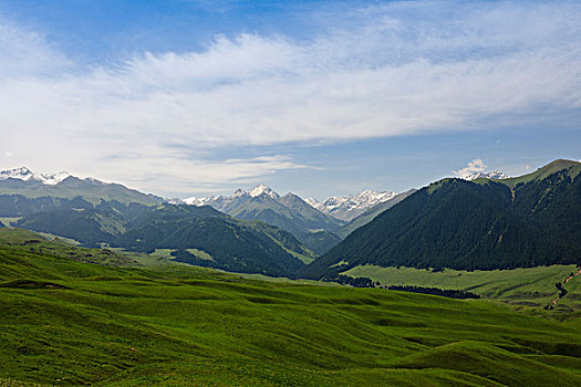 新疆天山伊犁草原牧场