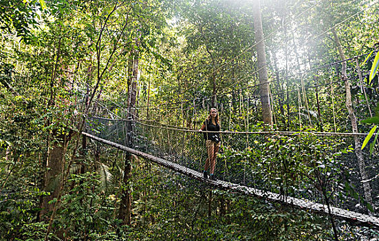 游客,女人,吊桥,丛林,国家公园,马来西亚,亚洲