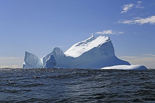 冰山,靠近,特威林盖特,纽芬兰,加拿大
