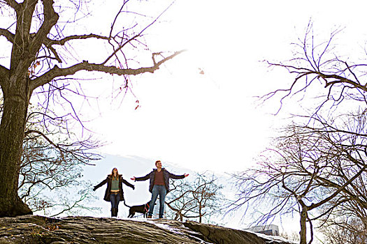 年轻,情侣,狗,站立,石头,中央公园,纽约,美国