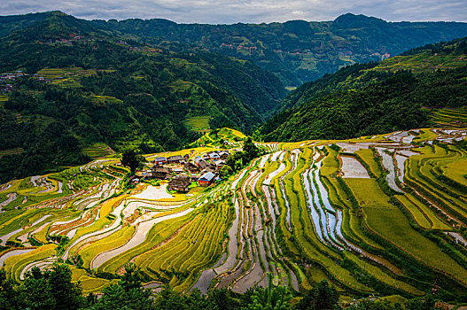 加榜梯田