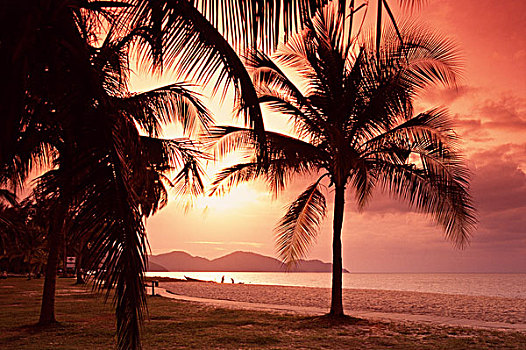 槟城,海滩,日落