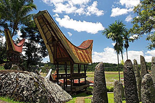 典礼,场所,巨石,传统,房子,靠近,苏拉威西岛,印度尼西亚,东南亚