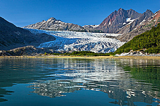 景色,冰河,反射,水,小湾,冰河湾国家公园,保存,东南阿拉斯加,夏天