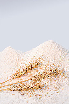 小麦粉堆成的山峰形象