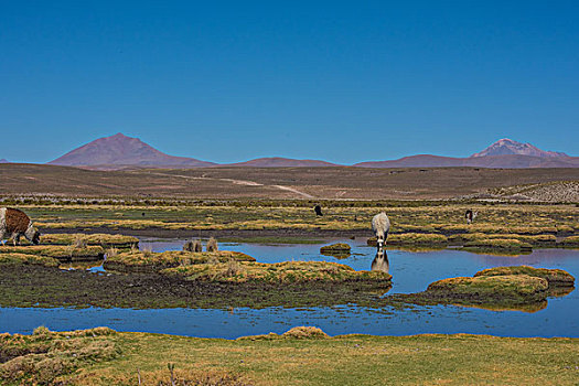 玻利维亚乌尤尼山区