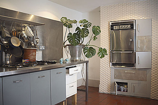 厨房,一体式烤炉,质地,墙壁,面对,盆栽,操作台,靠近,炉架,炊具