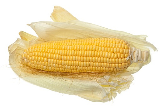 玉米,小水滴,白色背景,背景