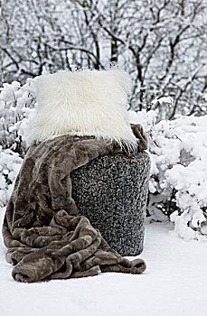 毛皮,毯子,垫子,雪中