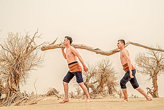 新疆,沙漠,男人,扛木头