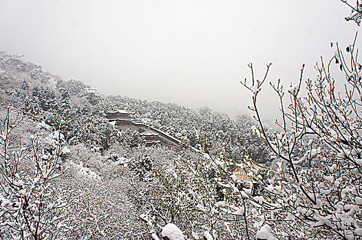 香山,雪景