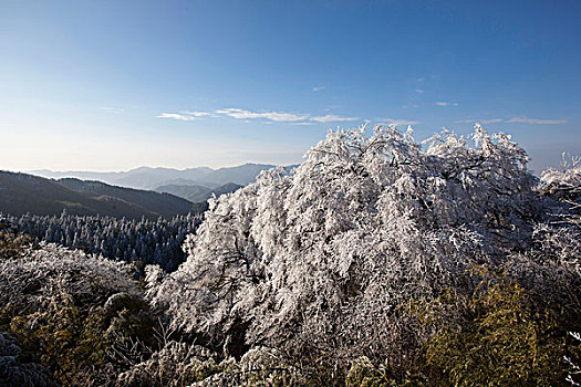 阳明山风光