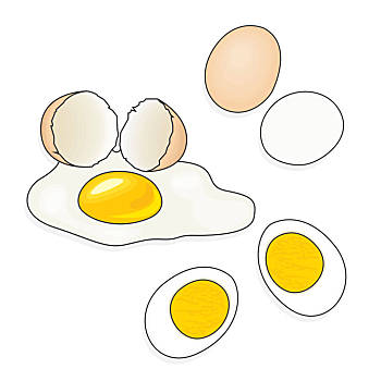 蛋类图片卡通图片