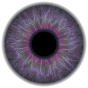 紫色,眼,虹膜