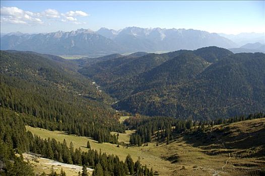 树林,山谷,正面,山,巴伐利亚阿尔卑斯山,上巴伐利亚,德国