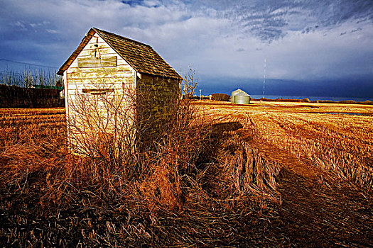 农场,小屋,艾伯塔省,加拿大