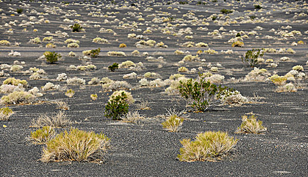 沉积岩,火山口,死亡谷国家公园,莫哈维沙漠,加利福尼亚,美国