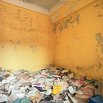 地面,遮盖,老,书本,文件,苏联,工厂,黄色,涂绘,去皮,墙壁,八月