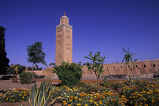 摩洛哥,玛拉喀什,库图比亚清真寺,清真寺,尖塔,花,前景