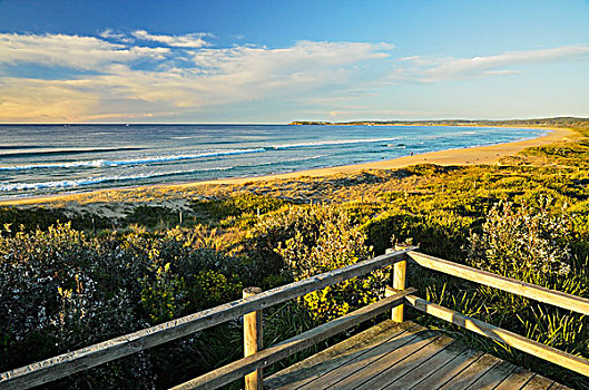 海滩,靠近,新南威尔士,澳大利亚