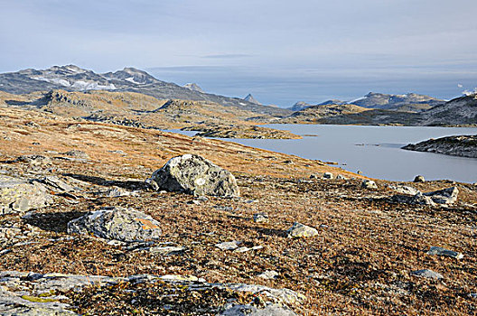 高,山景,尤通黑门山,国家公园,挪威,欧洲