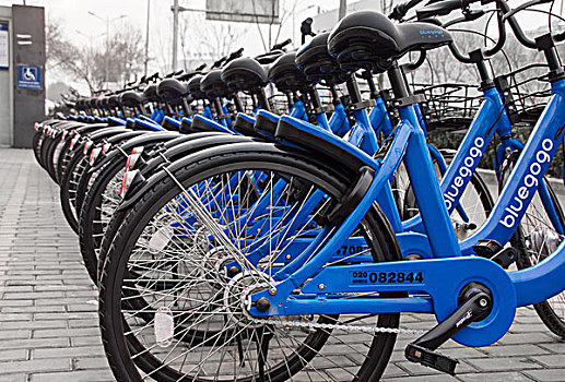 北京的共享单车