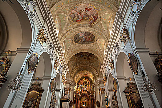 拱顶,天花板,教堂高坛,教堂,17世纪,维也纳,奥地利,欧洲
