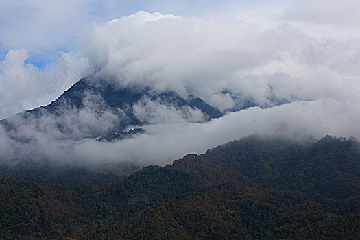 五指山风光