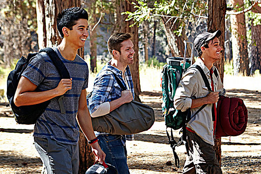 三个,男青年,露营,走,树林,洛杉矶,加利福尼亚,美国