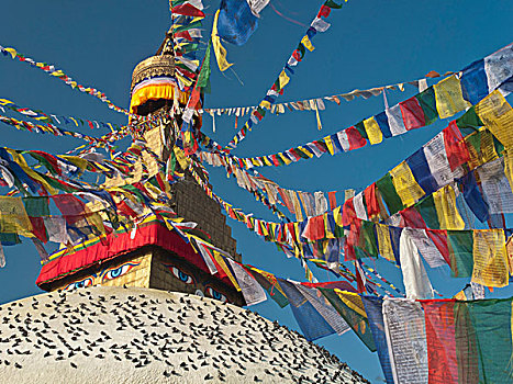 祈祷,旗帜,围绕,上面,佛塔,加德满都,尼泊尔,亚洲