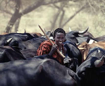 年轻,马萨伊人,牧群,放牧,地面,挨着,河,坦桑尼亚北部