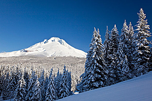 冬天,雪,上方,喀斯喀特山脉,胡德山,俄勒冈,美国