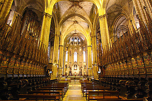 室内,大教堂,巴塞罗那,加泰罗尼亚,西班牙