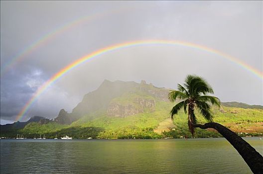 彩虹,上方,湾,茉莉亚岛,法属玻利尼西亚