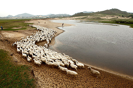 河北坝上风光