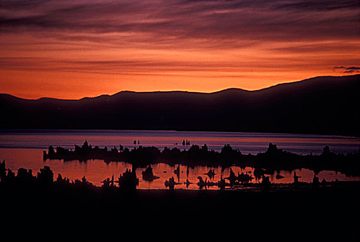 湖,正面,山峦,黎明,莫诺湖石灰华州立保护区,莫诺湖,加利福尼亚,美国