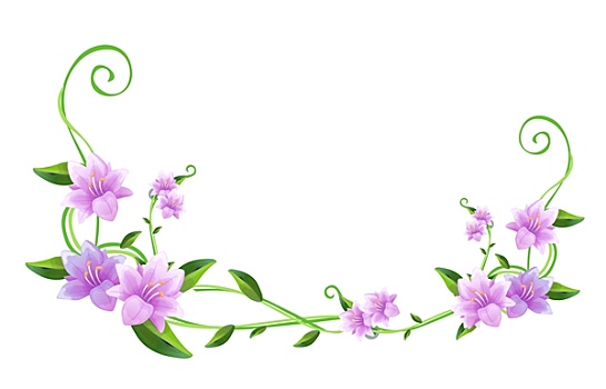 紫花,绿色,蔓藤