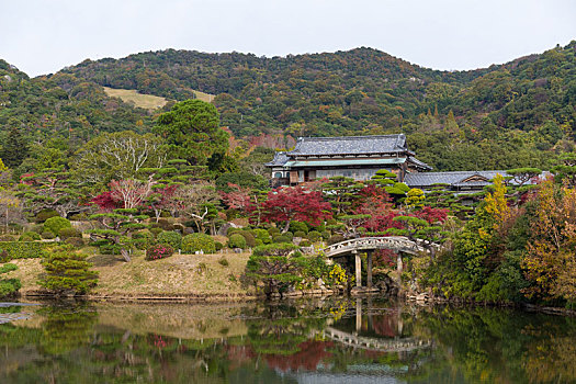 日本,漂亮,花园