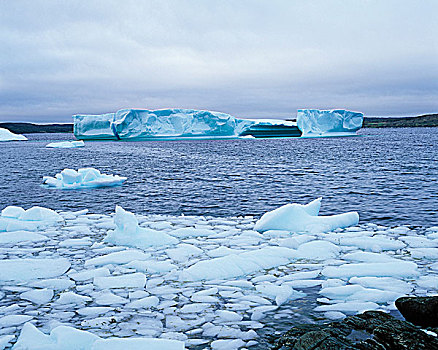 冰山,纽芬兰,加拿大