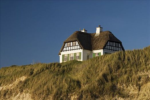屋舍,茅草屋顶,海岸,北海,日德兰半岛,丹麦