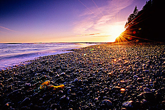 日落,海滩,西海岸小径,环太平洋国家公园,不列颠哥伦比亚省,加拿大