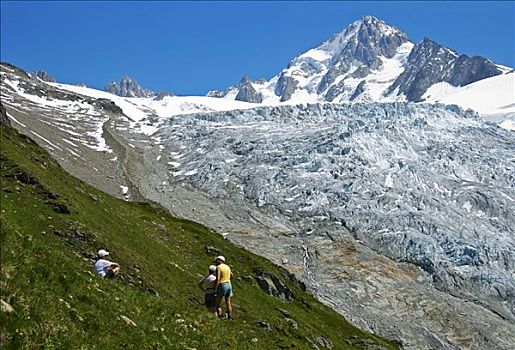 冰河,旅游,顶峰,法国阿尔卑斯山,法国