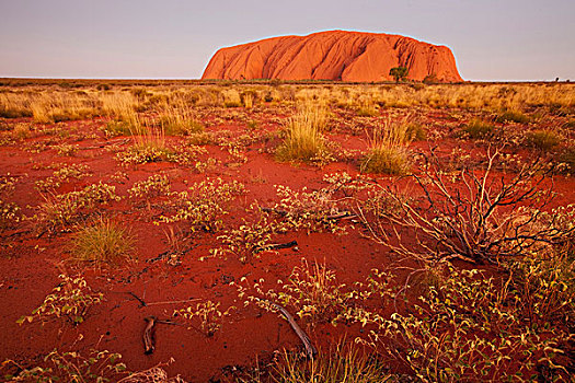 澳大利亚,北领地州,乌卢鲁卡塔曲塔国家公园,艾尔斯岩,围绕,红色,沙漠,发光,黄昏,夏天,晚间
