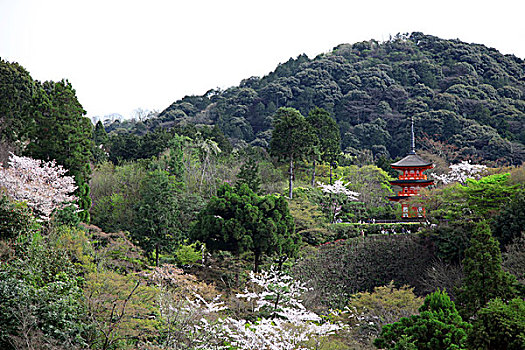 清水寺