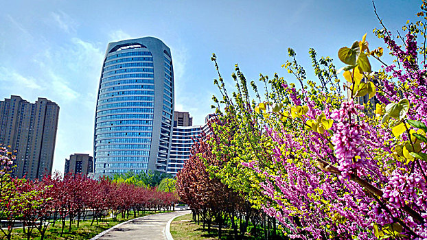 保定未来城国际中心春天鲜花城市建筑